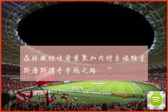 森林狼的传奇重聚加内特乐福维金斯唐斯携手夺冠之路